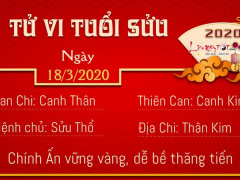 Ảnh bìa bài viết 671535