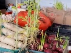 Ảnh bìa bài viết 672226