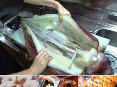 Ảnh bìa bài viết 672431