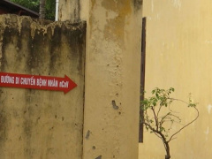 Ảnh bìa bài viết 672687
