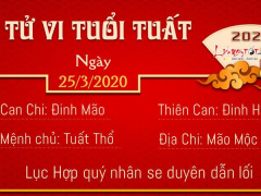 Ảnh bìa bài viết 672661