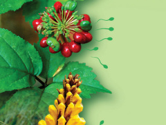 Ảnh bìa bài viết 672844