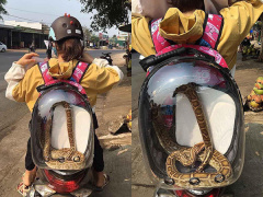 Ảnh bìa bài viết 673934