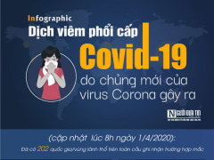 Ảnh bìa bài viết 673832