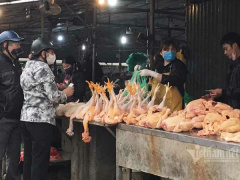 Ảnh bìa bài viết 674766