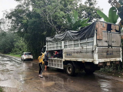 Ảnh bìa bài viết 674787