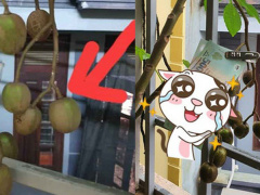 Ảnh bìa bài viết 675211