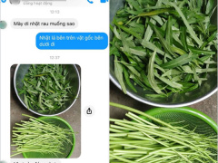 Ảnh bìa bài viết 675227
