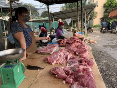 Ảnh bìa bài viết 675357