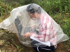 Ảnh bìa bài viết 675621