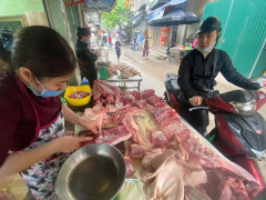 Ảnh bìa bài viết 676005