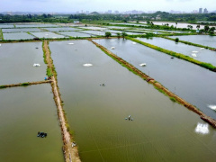 Ảnh bìa bài viết 675940