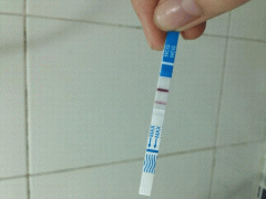 Ảnh bìa bài viết 676223