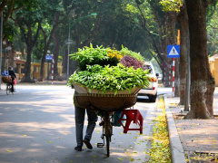 Ảnh bìa bài viết 676235