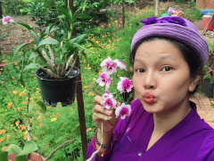 Ảnh bìa bài viết 676258