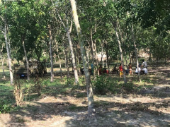 Ảnh bìa bài viết 676524