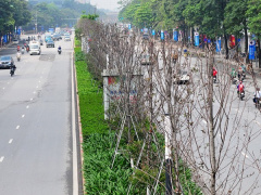 Ảnh bìa bài viết 676721