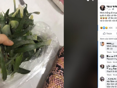 Ảnh bìa bài viết 676961