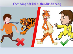 Ảnh bìa bài viết 676968