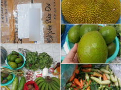 Ảnh bìa bài viết 678813