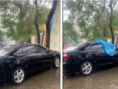 Ảnh bìa bài viết 678940