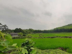 Ảnh bìa bài viết 679314