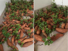 Ảnh bìa bài viết 679296
