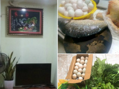 Ảnh bìa bài viết 679263