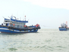 Ảnh bìa bài viết 679880