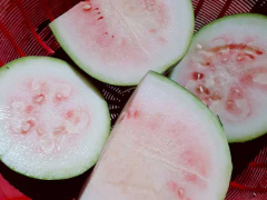 Ảnh bìa bài viết 679901