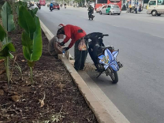 Ảnh bìa bài viết 680296