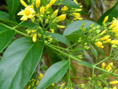 Ảnh bìa bài viết 680571