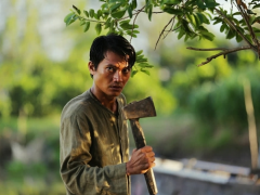 Ảnh bìa bài viết 681146