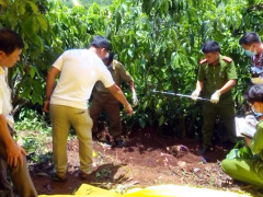 Ảnh bìa bài viết 681291