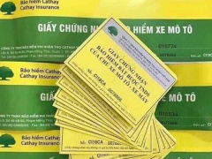 Ảnh bìa bài viết 681867