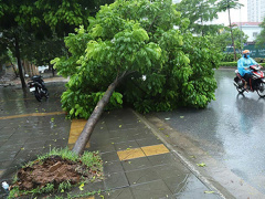 Ảnh bìa bài viết 682470