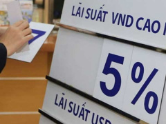 Ảnh bìa bài viết 683005