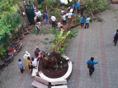 Ảnh bìa bài viết 683274