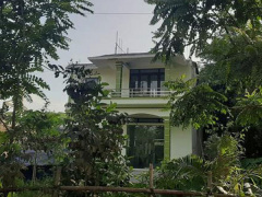 Ảnh bìa bài viết 683155