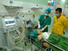 Ảnh bìa bài viết 683480