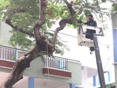 Ảnh bìa bài viết 683433