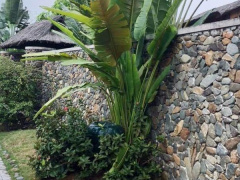 Ảnh bìa bài viết 683653
