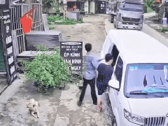 Ảnh bìa bài viết 683570