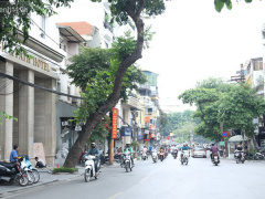 Ảnh bìa bài viết 683852