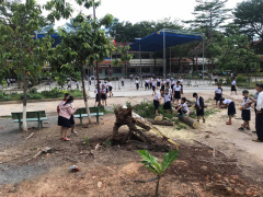 Ảnh bìa bài viết 683725