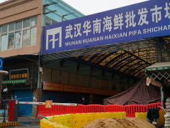 Ảnh bìa bài viết 683856