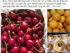Ảnh bìa bài viết 684099