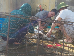 Ảnh bìa bài viết 684118