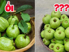 Ảnh bìa bài viết 684286