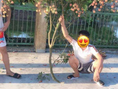 Ảnh bìa bài viết 684513